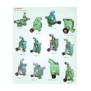 BP型自吸泵BP Type Self-Priming Pump