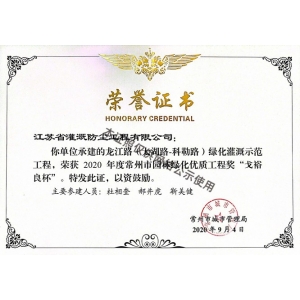 荣誉证书Certificate of Honor
